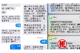 新荣为什么选择专业追讨公司来处理您的债务纠纷？
